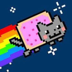 Nyan Cat FLY